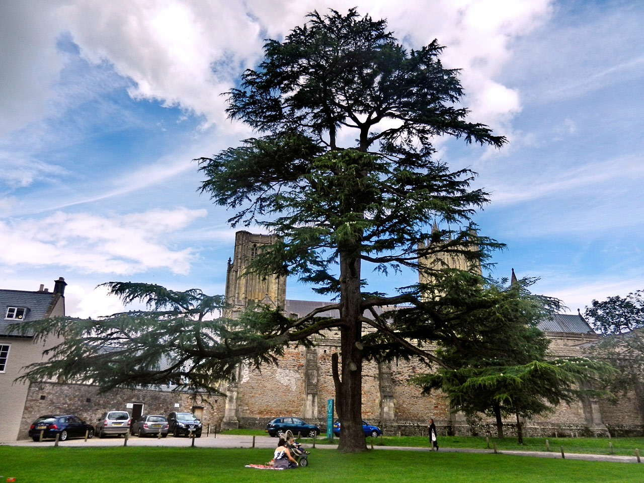 Wells